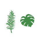 卡通手绘树叶素材叶子