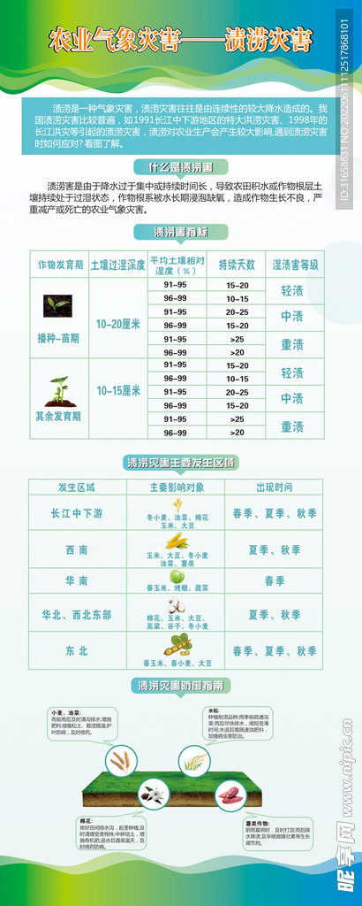 渍涝灾害