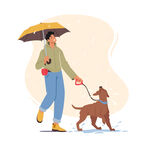 宠物插画