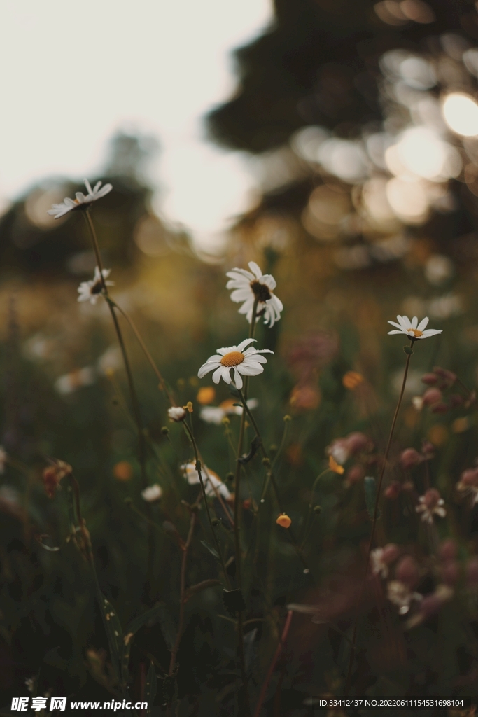 花