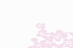 紫红色边花