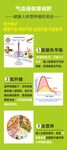 健康人体营养模拟组合