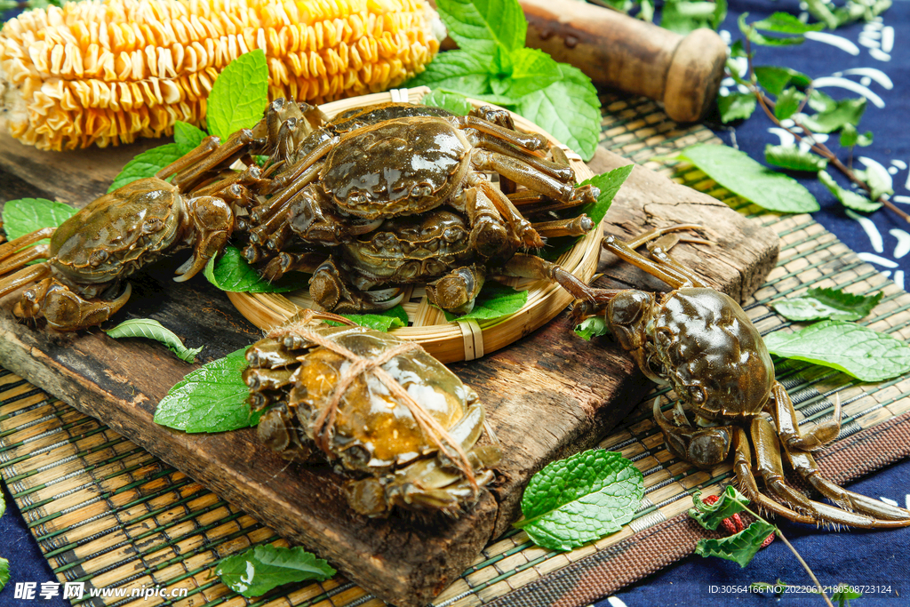新鲜大闸蟹食材