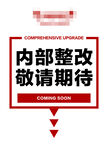 内部整改