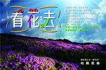 杜鹃花海报