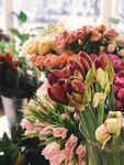 玫瑰花