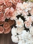 玫瑰花
