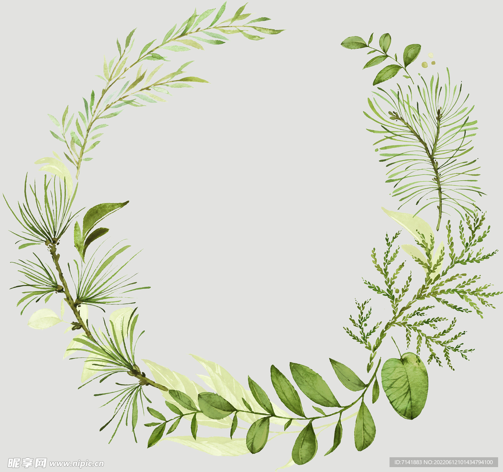 植物叶子