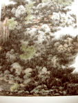 山水画展览