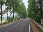 道路景观