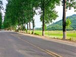 道路