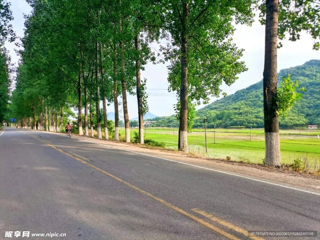 乡村道路