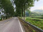 道路