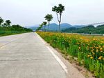 乡村道路