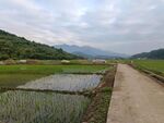 田园风光