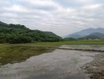 田畈