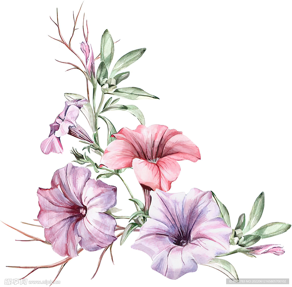 手绘花