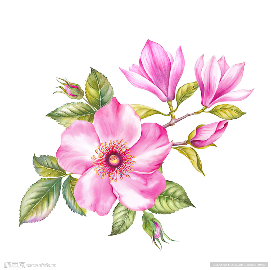 手绘花