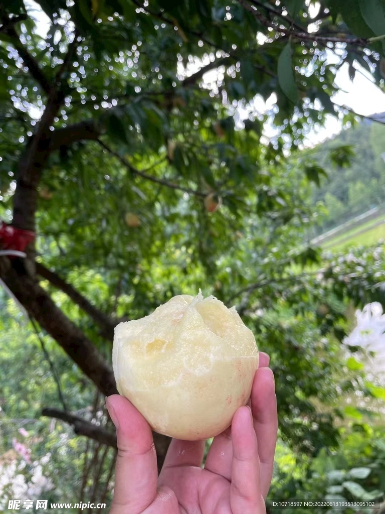 蜜桃