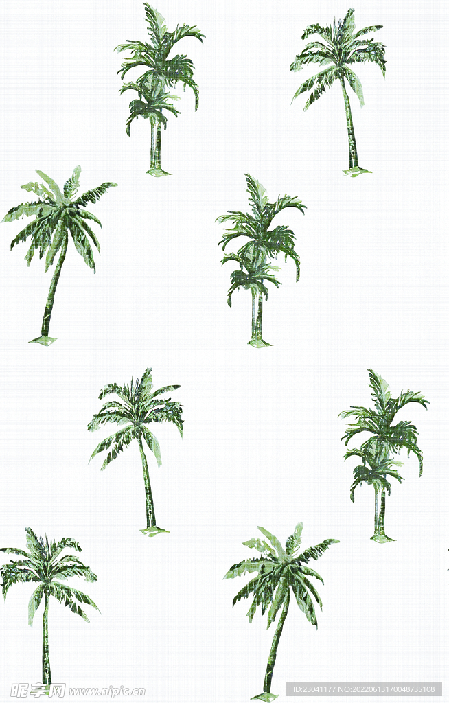 椰子树 热带树
