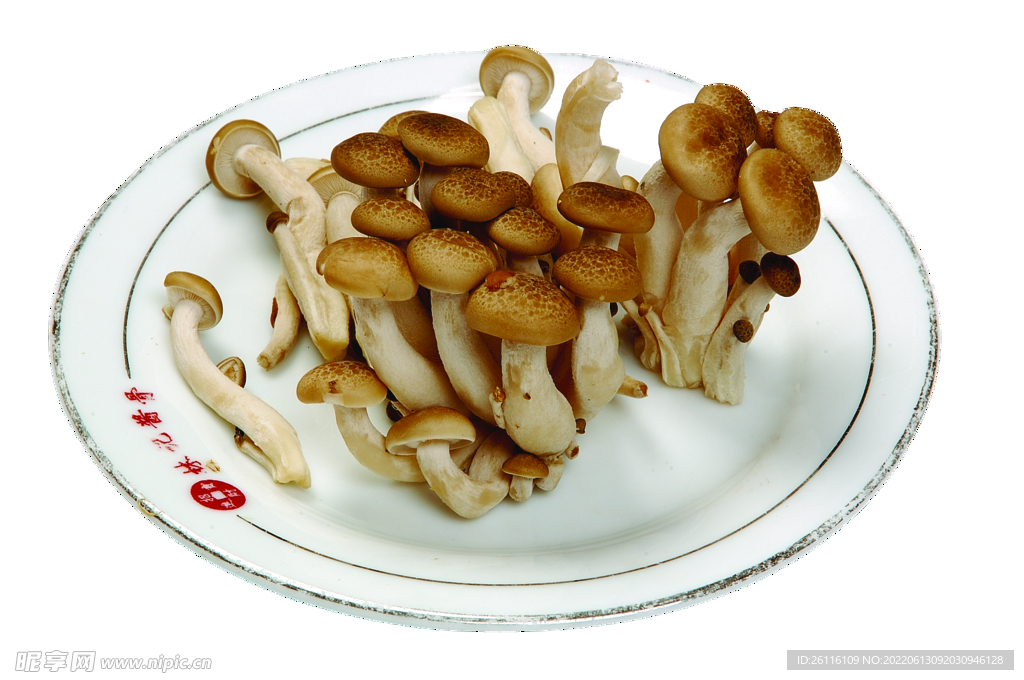 美食  