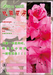 杜鹃花海报