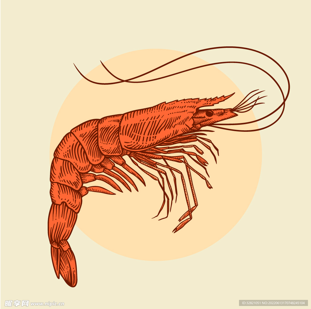 虾手绘