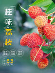 桂味荔枝新鲜水果海报