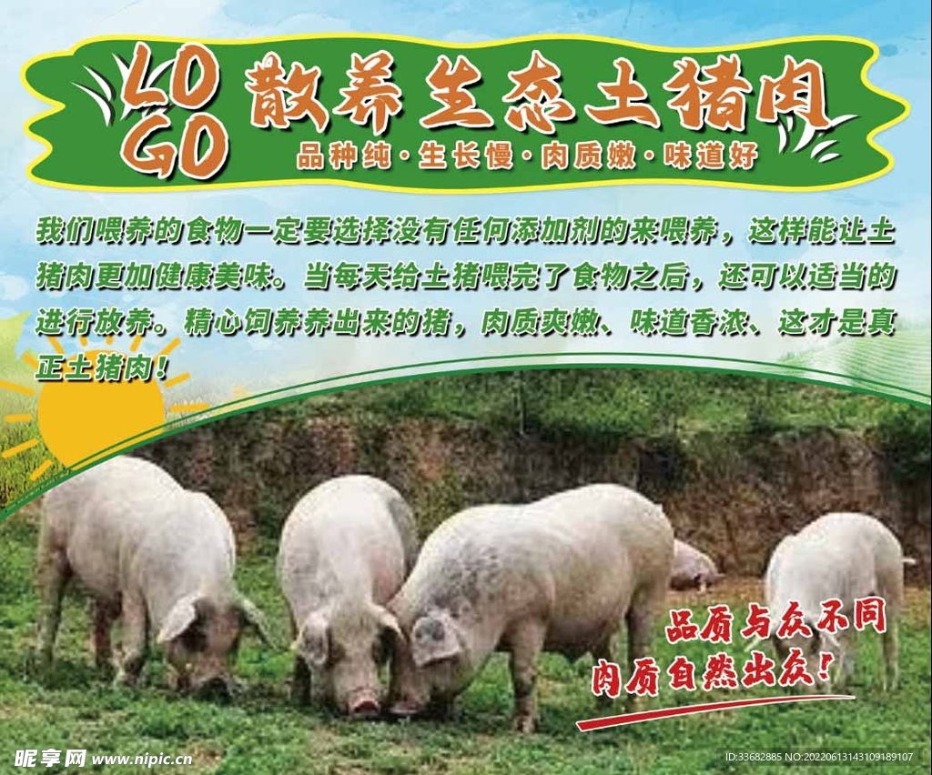 土猪肉 散养猪 生态猪 海报 