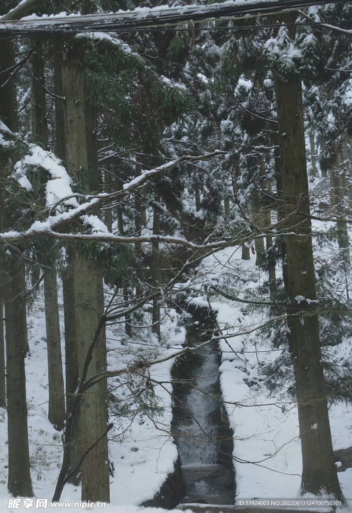 白雪皑皑之山泉