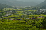 田野乡村