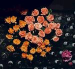 别样的花