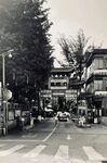 夏园