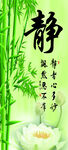 静心 竹子莲花