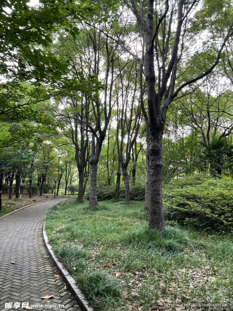 风景