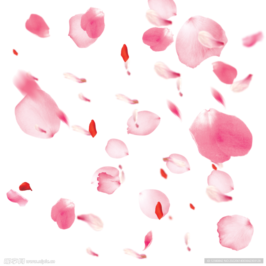 花瓣