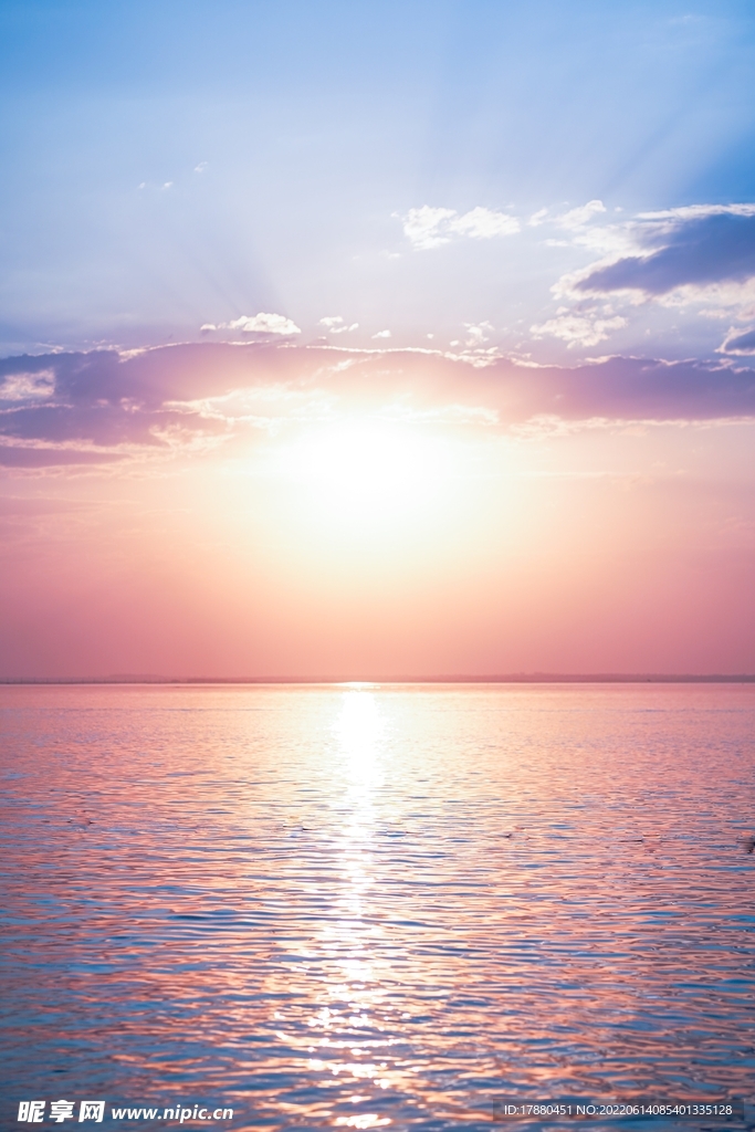 大海