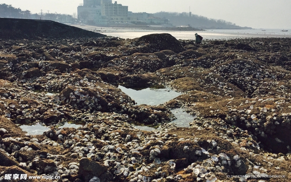 海边沙滩风景