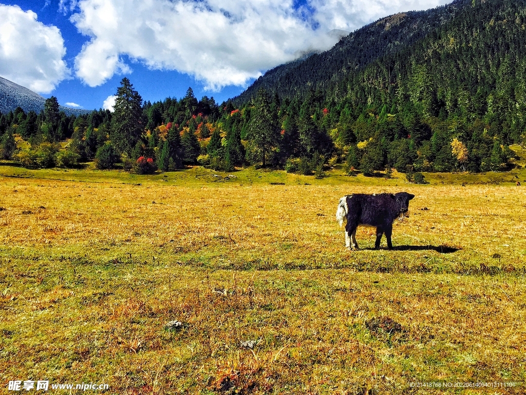 名山大山山脉