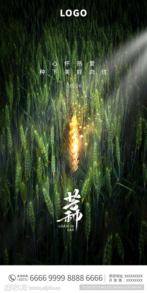 芒种海报