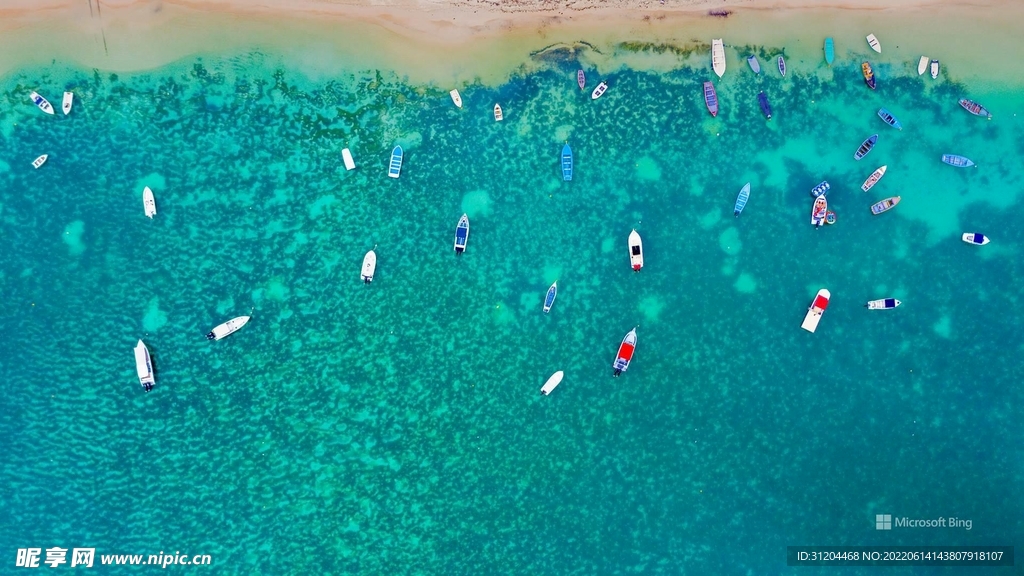 大海
