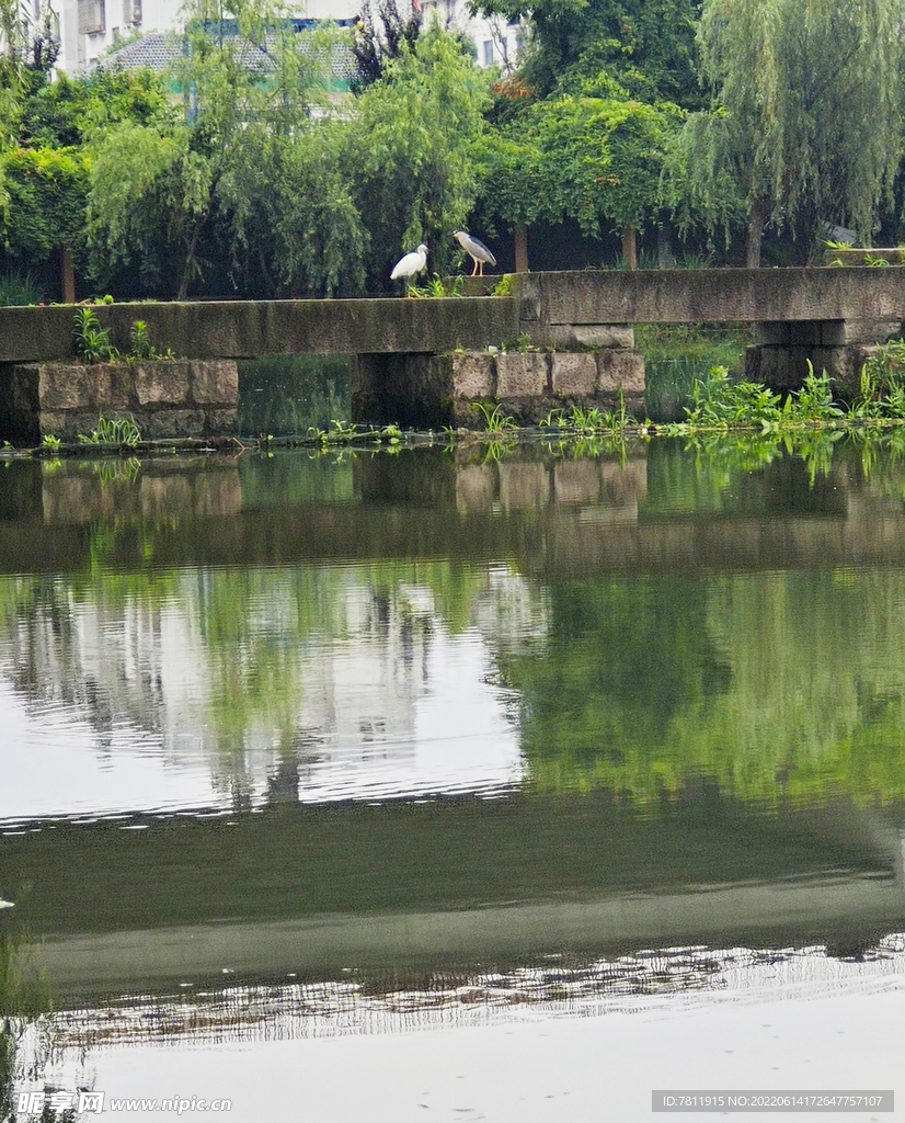 风景 