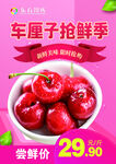 车厘子抢鲜季