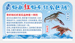 青虾红虾