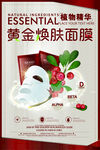 面膜精华