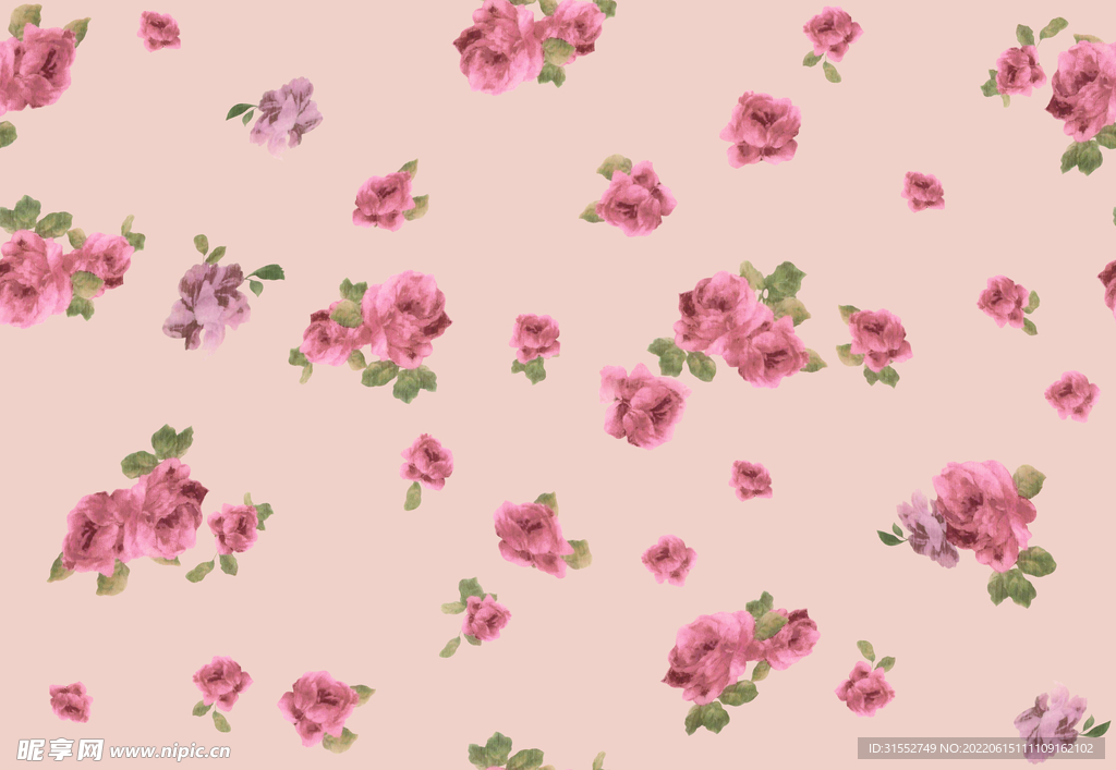 玫瑰花