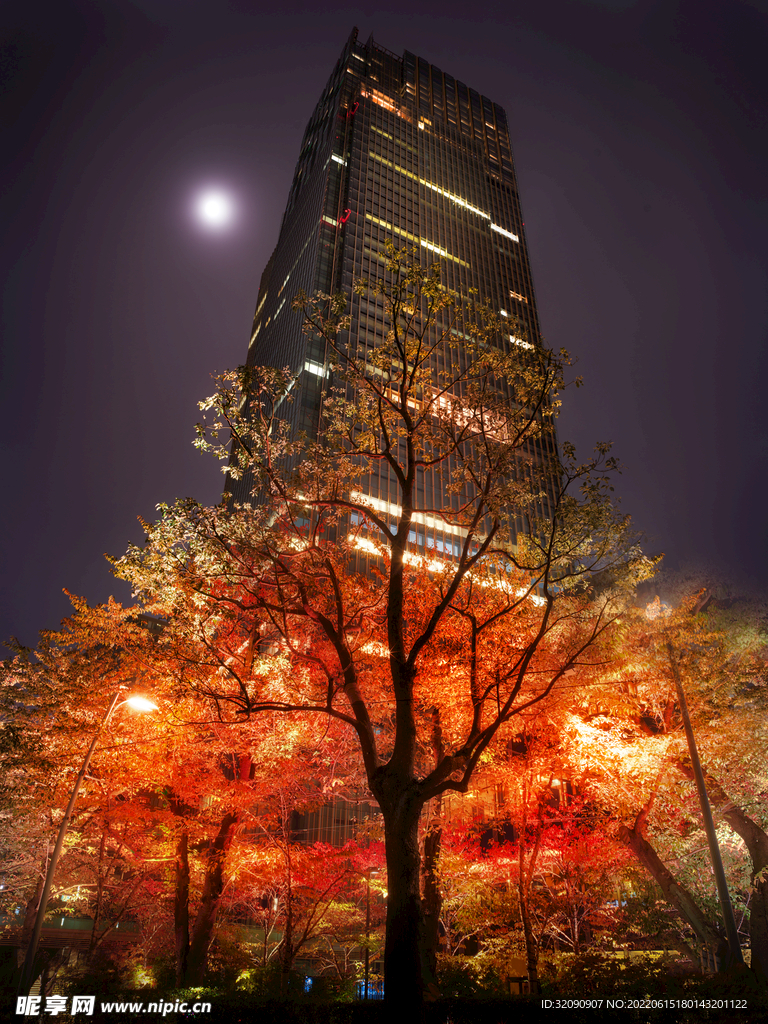 高楼大厦夜景
