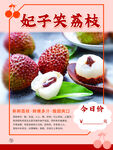 妃子笑荔枝海报设计