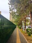 无人街景行人步道细雨落地听无声