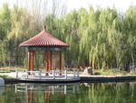 公园景物
